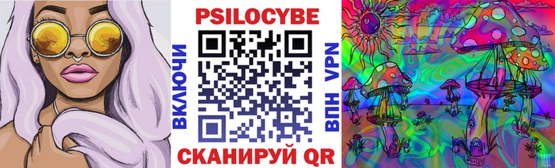 хочу   Кораблино  Псилоцибиновые грибы прущие грибы 