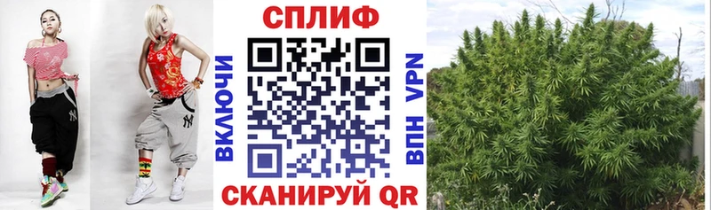 Конопля индика Кораблино